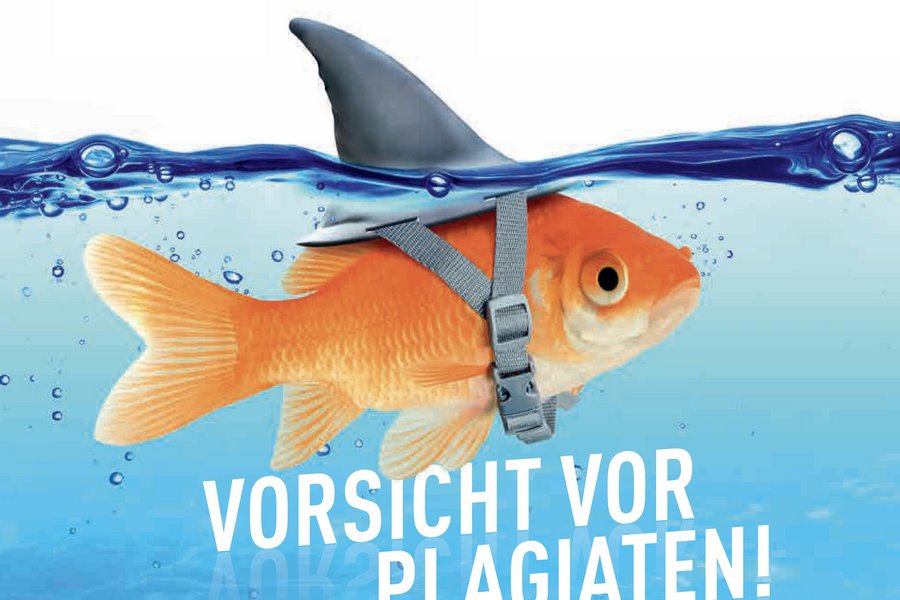 Erfrischend anders: Sommer-Ausgabe der 360°