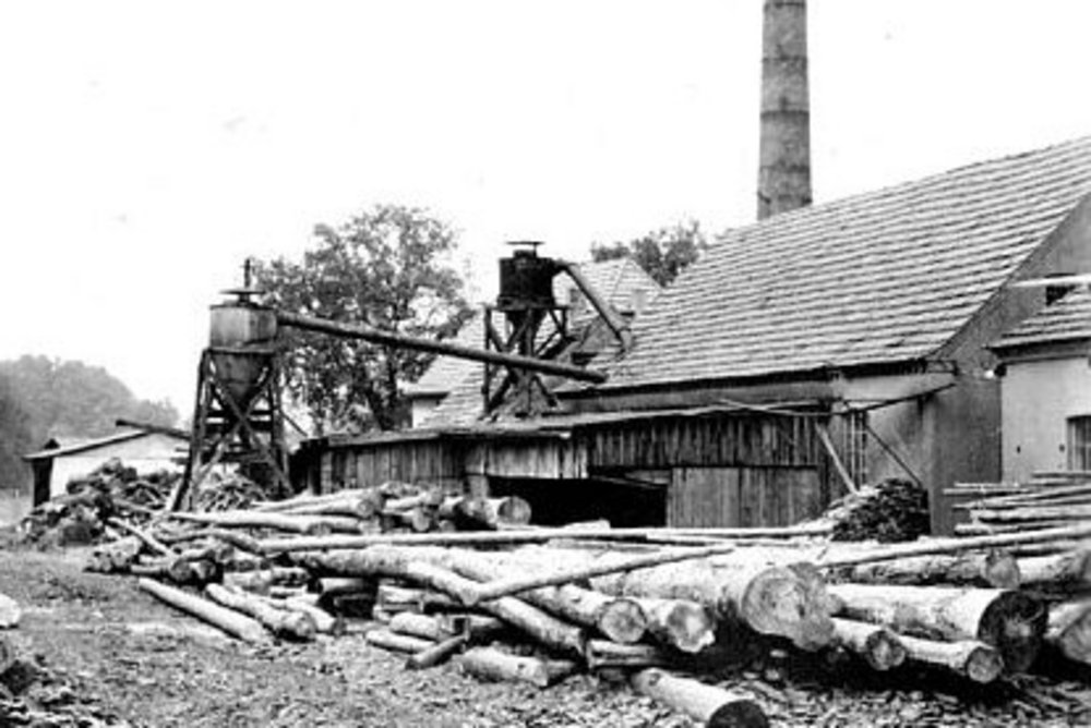 Houtzagerij Vogelsang in 1929