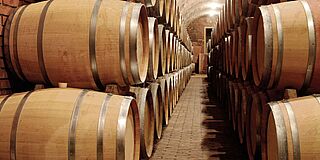 案例研究 - 意大利葡萄酒酿造厂 - 葡萄酒泵