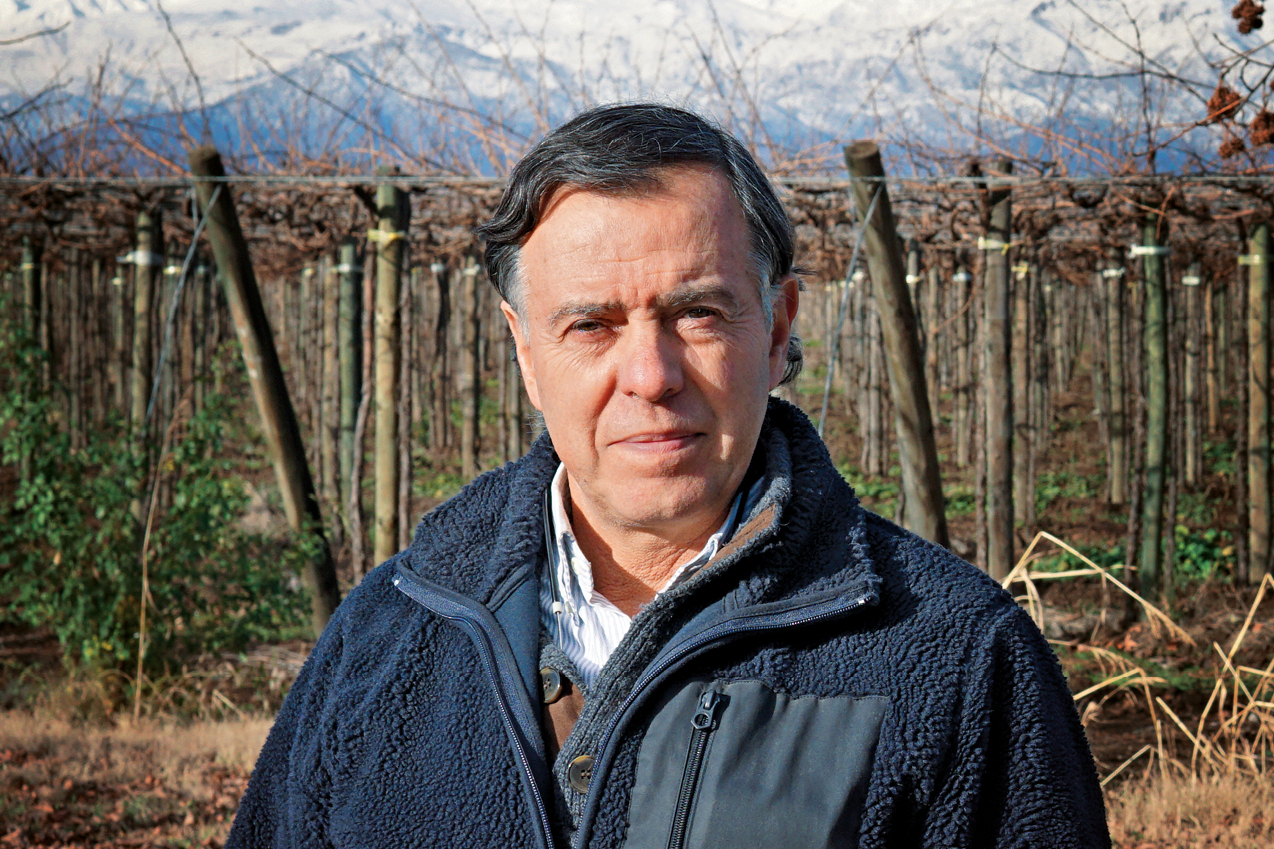 Germán Salaya, Winemaker, Cruz de Triana, Chile
