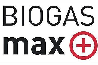 BIOGASmax – 系统性优化